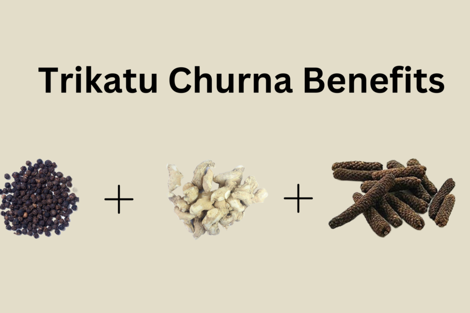 Trikatu Churna Benefits