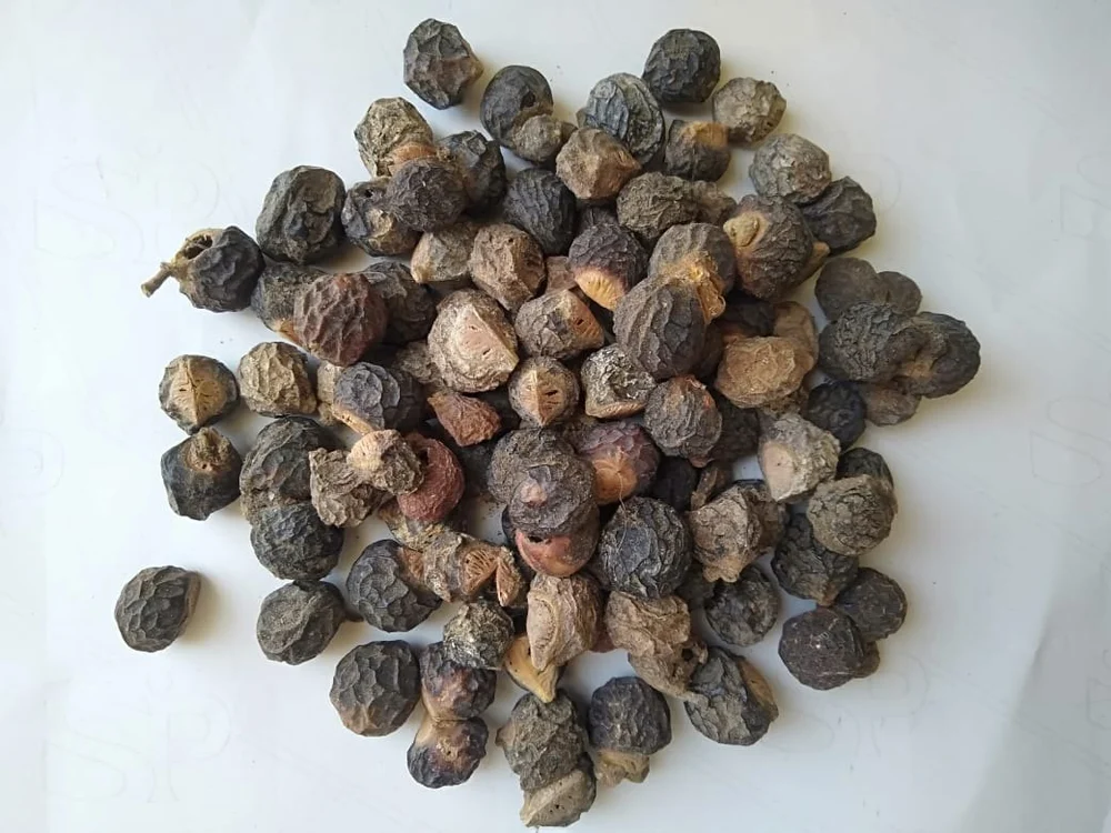 Areetha (Reetha) - Soapnut: Uses, Research and Side Effects | Amrut Pushp